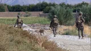 US Marines In Sangin Afghanistan [upl. by Hawkins]