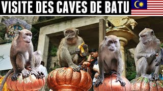 DES SINGES DE PARTOUT  VLOG MALAISIE [upl. by Notnil495]