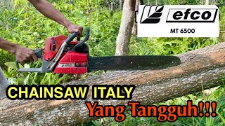 Chainsaw efco Mt 6500 membelah kayu Akasia [upl. by Aruabea]