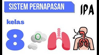 SISTEM PERNAPASAN PADA MANUSIA  IPA KELAS 8 SMP [upl. by Icat]