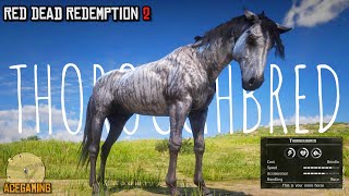 Easiest way to get the Fastest Horse early in chapter 2  Brindle Thoroughbred  RDR2  PS4 Slim [upl. by Mloclam]