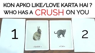 Hindi• KON APKO LIKELOVE KARTA HAI 😍 WHO HAS A CRUSH ON YOU 🤔 TIMELESS [upl. by Barris]