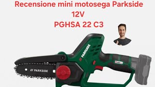 Mini motosega Parkside a batteria 12V modello PGHSA C3 [upl. by Aitnis]