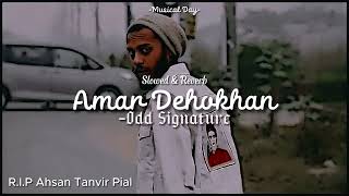 Tribute to Ahsan Tanvir Pial  Amar Dehokhan Slowed amp Reverb  ahasantanvirpial5384 OddSignature [upl. by Ellesirg]