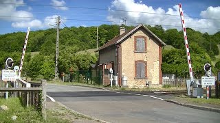 Spoorwegovergang Nézel F  Railroad crossing  Passage à niveau [upl. by Hairehcaz694]