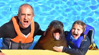 Swim With Sea Lions at Rancho Texas Lanzarote Park Canary Islands Spain [upl. by Nali140]