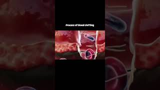 Blood clotting होने की प्रक्रिया।शरीर को चोट लगने के बाद blood clot कैसे बनता हैं clotting shorts [upl. by Allanson]