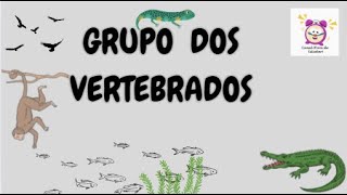 Vertebrados  Hora de Treinar  Animais Vertebrados  Reino Animal  Hora de Estudar [upl. by Dnesnwot]