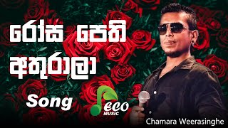 Rosa pethi athurala Song  රෝස පෙති අතුරාලා  Chamara Weerasinghe  ECO Music [upl. by Primrosa]