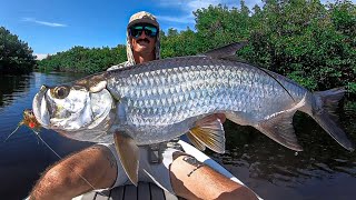 Exploring mangrove creeks for Tarpon on artifical [upl. by Cirdor162]