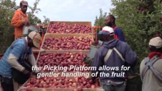 Huron Fruit Systems Picking Platform [upl. by Hirst]