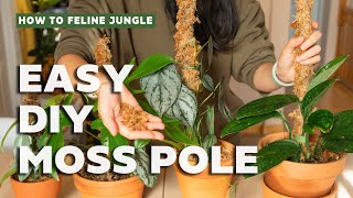 Easy DIY Moss Pole Tutorial l DIY Sphagnum Moss Pole for your Plants [upl. by Fagin]