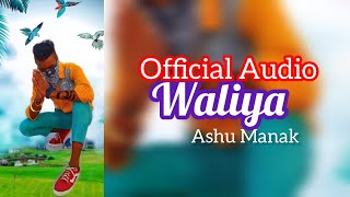 WaliyaNew Punjabi song 2024Sidhu moose wala new Punjabi song 2024 [upl. by Mcclelland]