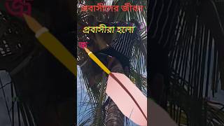 প্রবাস জীবন probashigan unfrezzmyaccount probasi sad status short youtubeshorts shortvideo [upl. by Ahsuat]