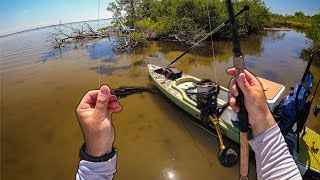 Paddleboard Fishing Florida Flats with the New NLBN Mini Mullet [upl. by Aisatal]