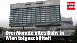 Drei Monate altes Baby in Wien totgeschüttelt  kronetv NEWS [upl. by Mw534]