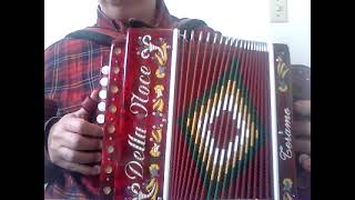 TARANTELLA SALTERELLA  ORGANETTO Diatonic Accordion [upl. by Rolo]