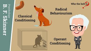 Operant Conditioning vs Classical Conditioning in BF Skinners Radical Behaviourism [upl. by Meeharbi]