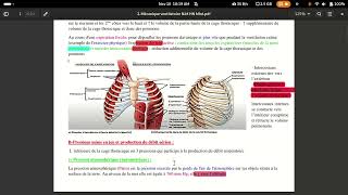 physiologie respiratoire mécanique ventilatoire [upl. by Lower941]