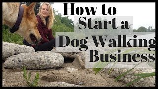 How to Start a SUCCESSFUL Dog Walking Business [upl. by Ynor]