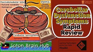 Cerebellar Dysfunction Symptoms Rapid Review [upl. by Fuchs]