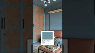 Latest wall colour combination colours youtubeshorts [upl. by Goran]