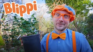 Blippis Great Green Movie  Blippi Full Movie  Educational Videos For Kids [upl. by Hammer629]