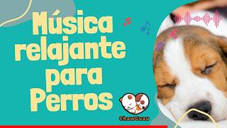 🌩️ Cómo Calmar a tu Perro con Miedo a Tormentas Eléctricas con Música Relajante ChawGuau [upl. by Nylaroc]