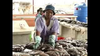 Angola Magazine  Luanda1ª Feira do Pescador [upl. by Annaegroeg716]