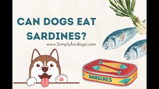 Can Dogs Eat Sardines [upl. by Laval426]