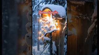 Christmas carol malayalam yahoodiyayile shortfeed malayalam christmas music [upl. by Enar406]