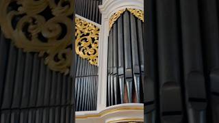 Bad Lausick Silbermann Orgel Trampeli Orgel ev St Kilian Kirche Shorts sachsen saxony vlog [upl. by Leasim288]