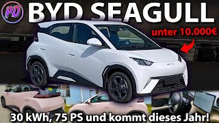 BYD SEAGULL  EKleinwagen für unter 10000€ [upl. by Nnaeiluj394]