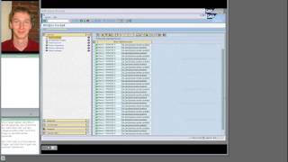 Implementierung und Nutzung von eClss in SAP [upl. by Omer136]