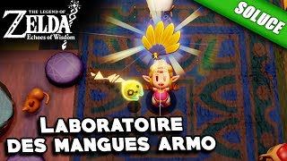 Laboratoire des mangues armo  Éventail dor Solution  The Legend of Zelda Echoes of Wisdom [upl. by Eneg]