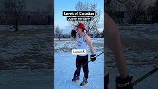 Levels of Canadian Rink edition winter snow canada hockey [upl. by Hagile]