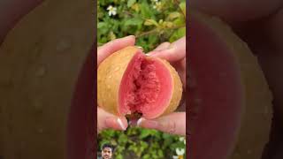 fruit naturallifeb satisfying naturalclips naturelife fruitcutting food amazing plants gar [upl. by Yhtorod677]