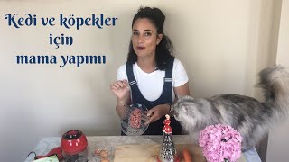 Kedi ve köpekler için evde kolayca yaş ve kuru mama yapımı kendin yap DIY [upl. by Nylhsa]