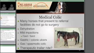 Colic Diagnosis Treatment and Prevention [upl. by Ayouqes]