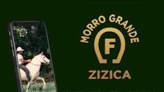 Live Morro Grande Zizica [upl. by Valiant138]