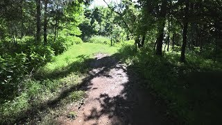 Hiking Tour of the Brumley Forest Nature Preserve  Hillsborough NC [upl. by Ahsiki295]