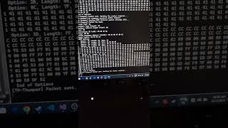 TPLink VN020 DHCP Memory Corruption  DOS Attack PoC [upl. by Yecats219]