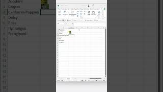 Insert Expandable Pictures into Cells in Excel [upl. by Champ]