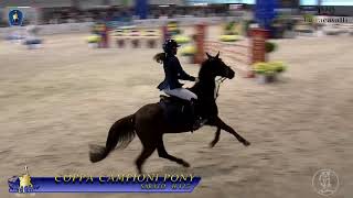 ZOE TOMASSINI FINALE COPPA CAMPIONI PONY FIERA CAVALLI VERONA 2018 [upl. by Dodwell341]