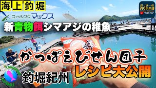 【海上釣堀】レシピ公開「かっぱえびせん団子」と青物New餌シマアジの稚魚でどうなる水潮の紀州 [upl. by Robina]