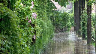 Pleasant Rain Falling on a Leisurely Day  10 Hours Video with Rain Sounds for Relaxation and Sleep [upl. by Varion]