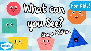 What Shape can you See  EYFS Shapes  2D Shapes [upl. by Halimaj]