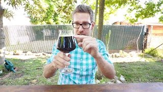 A Way to Brew LongAged Sour Beer  Tasting and Review [upl. by Atena674]