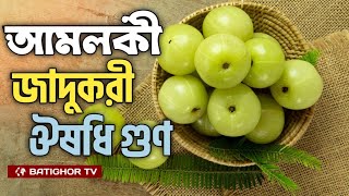 আমলকী যতো উপকারী পুষ্টিগুণ  Amloki  Amla  Bangla news [upl. by Merras811]