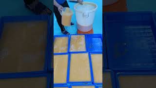 The turmeric and kojic acid soap mixture is poured into molds and left to cool and set [upl. by Ileek]